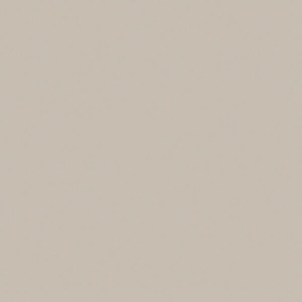 Confetti Cotton in Light Gray