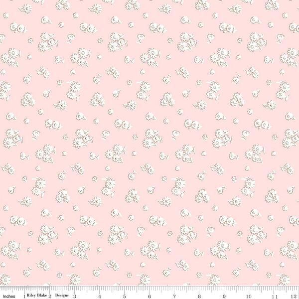 Tumbling Daisy in B