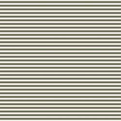 Stripe in Lichen