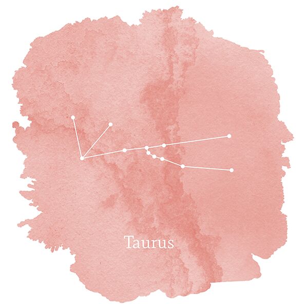 Taurus Sign Panel in Tulip