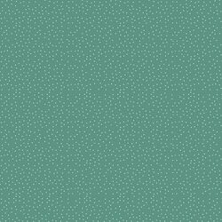Small Winter Snow in Pine Green