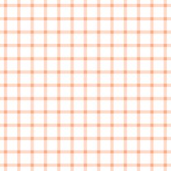 Summer Gingham Check in Peachy