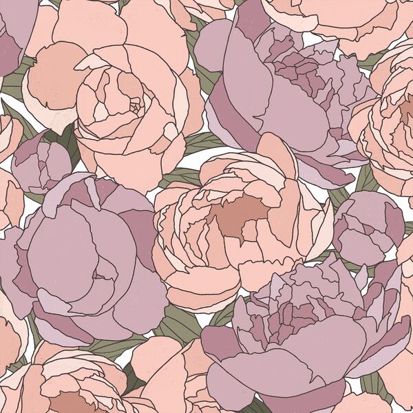 Blooming Peonies in Morning