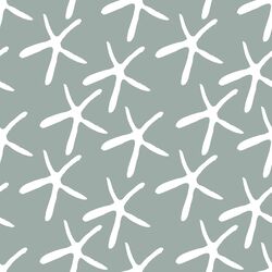Starfish in Eucalyptus