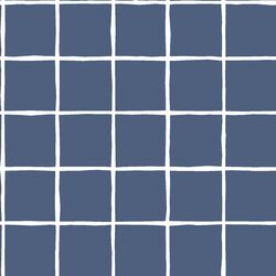 Windowpane in Midnight
