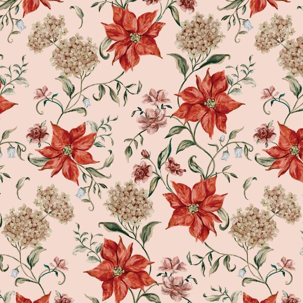 Poinsettia Dreams in Rose