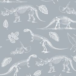 Fossils in Cloud
