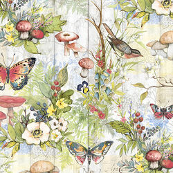 Birds and Butterflies in Multi