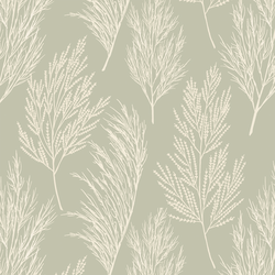 Pampas Grass in Summer Sage