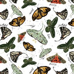 Butterflies in Autumn Revival