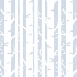 Birches in Cirrus