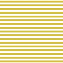 Meadow Stripe in Zesty Lime