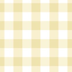Large Gingham in Sunlight