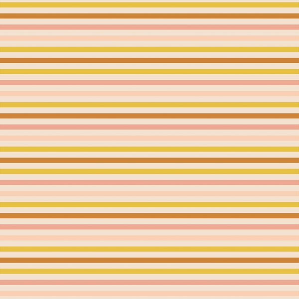 Small Stripe in Fall Sunrise