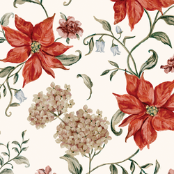 Large Poinsettia Dreams in Ivory