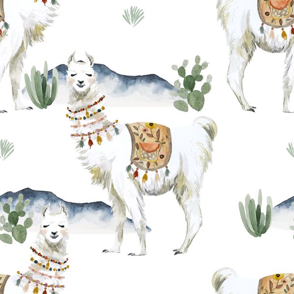 Big Mountain Llama in White