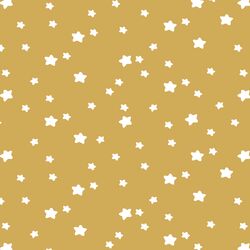Star Light in Straw