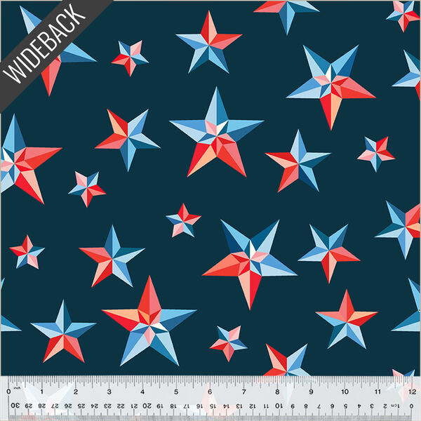 Pinwheel Stars Wideback in Multi