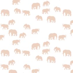 Elephant Silhouette in Shell on White