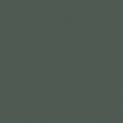 Solid in Dark Gray