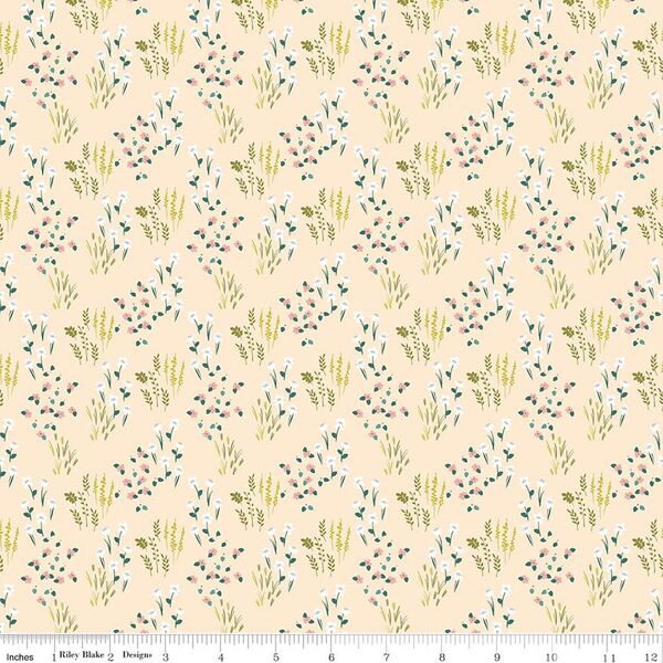 Meadow in Blush