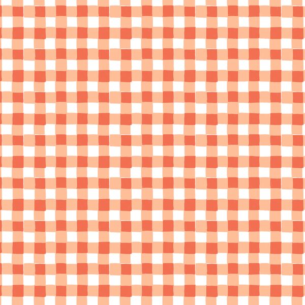 Whimsical Gingham in Peach Fuzz