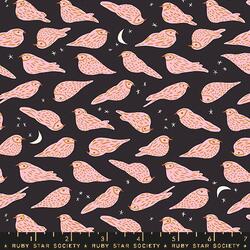 Whippoorwill in Soft Black