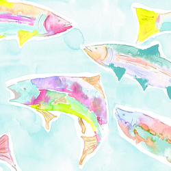 Large A Fresh Catch in Rainbow Trout