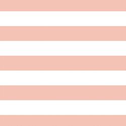 Horizontal Play Stripe in Petal