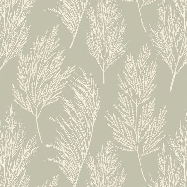 Pampas Grass in Summer Sage