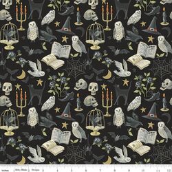 Curiosities in Raven