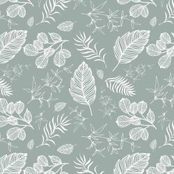 Foliage in Eucalyptus