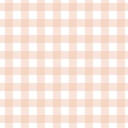 Gingham in Apricot