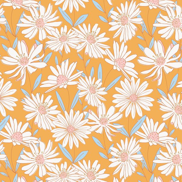 Daisy Fields in Golden Glow