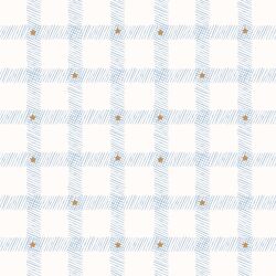 Starry Gingham in Frost Blue