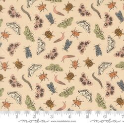Entomology in Ballerina