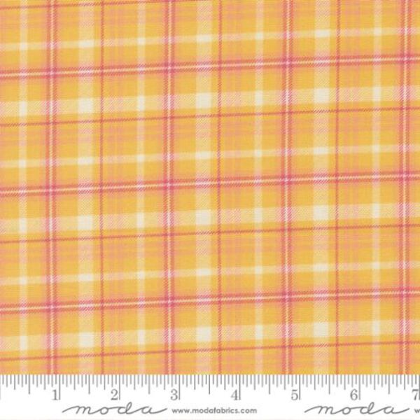 Plaid Checks in Sunshine