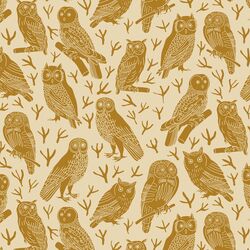 Wisdom in Birch