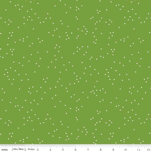 Blossom in Holly