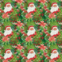 Little Palm Beach Santa in Christmas