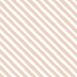 Rogue Stripe in Shell