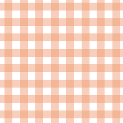 Gingham in Deep Peach