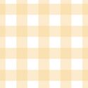 Large Gingham in Sunbeam