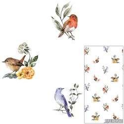 Garden Birds in Leiden