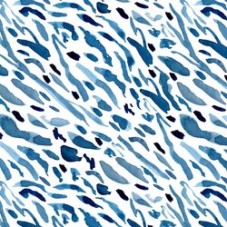 Abstract Tiger Stripe in Tide Pool