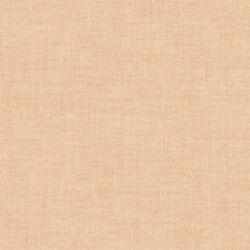 Textured Solid in Coral