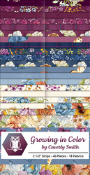 Growing in Color 2.5" Strip Roll