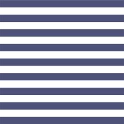 Horizontal Candy Stripe in Indigo