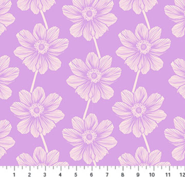 Anemone in Lilac