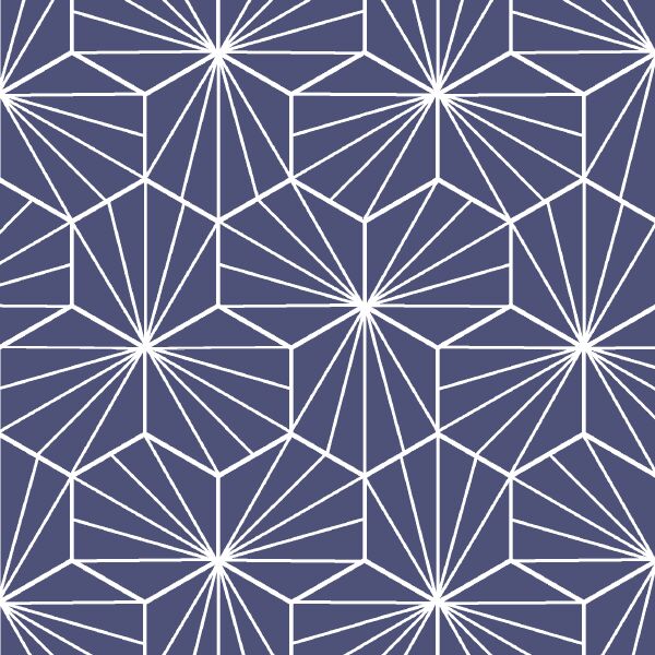 Radiate in Indigo